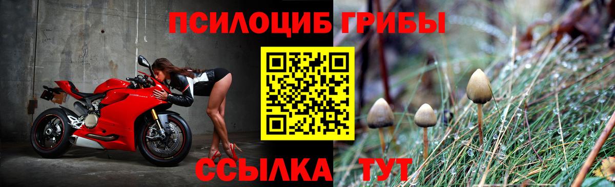 Псилоцибиновые грибы MAGIC MUSHROOMS  Галлюциногенные грибы Magic Shrooms  Чита  Вход с VPN 